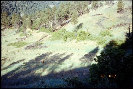 FilmRoll-Gold200-Sureshot-WedMornRun-2024-06-12-086