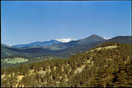 FilmRoll-Gold200-Sureshot-WedMornRun-2024-06-12-093